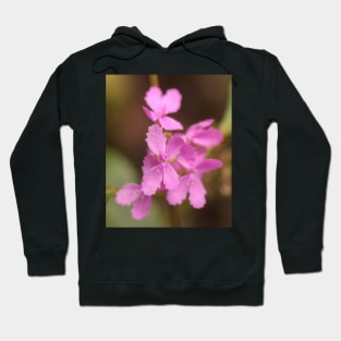 Stylidium Hoodie